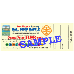 2026 Ball Drop Ticket - SINGLE